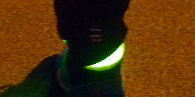 TERUI Lights ランニング LEDライトを足首に装着